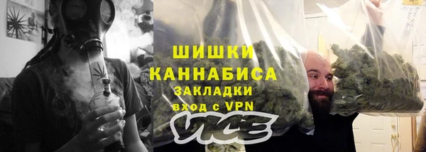 прущие грибы Белокуриха