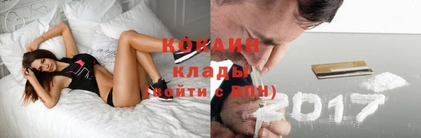прущие грибы Балабаново