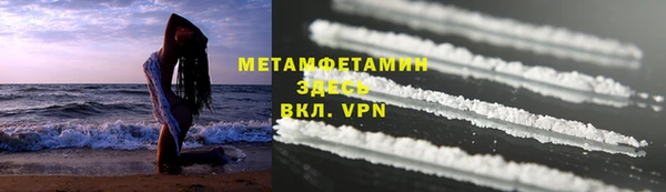прущие грибы Балабаново