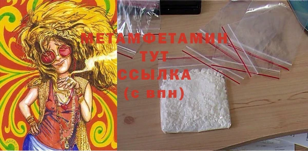прущие грибы Белокуриха