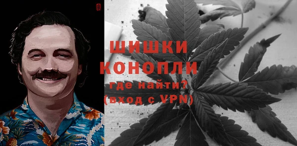прущие грибы Балабаново