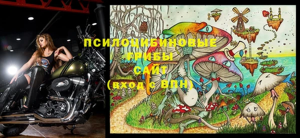 МДПВ Балахна