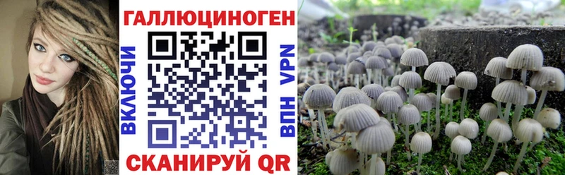 Псилоцибиновые грибы Magic Shrooms  Вятские Поляны 
